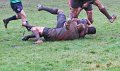 Monaghan 1st XV Vs Belfast Harlequins 04-02-2012 (38)